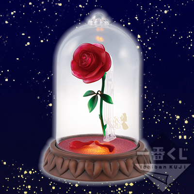 Enchanted Rose Licht