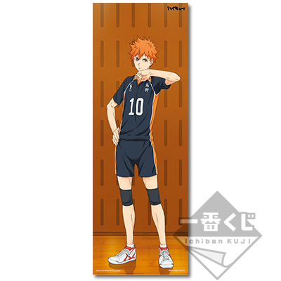 Shoyo Hinata Visuelles Kreuz