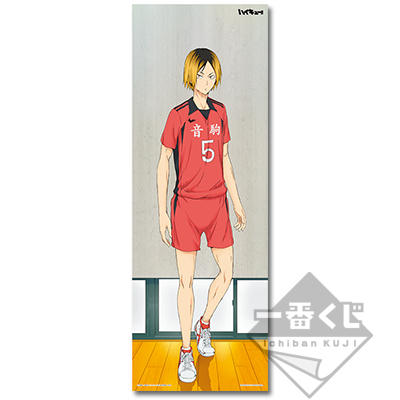 Keiji Akaashi Visual Cross