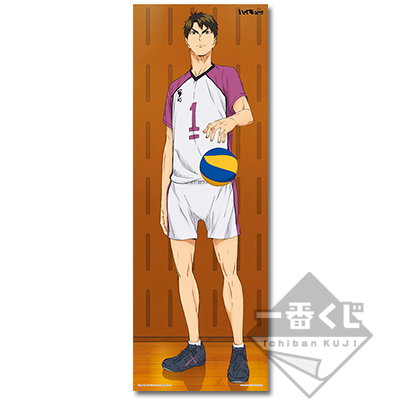 Wakatoshi Ushijima Visual Cross