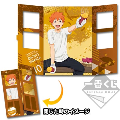 Shoyo Hinata Fenster-Kunstplatte