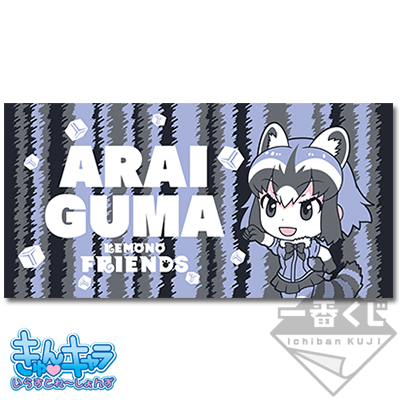 Raccoon Handtuch