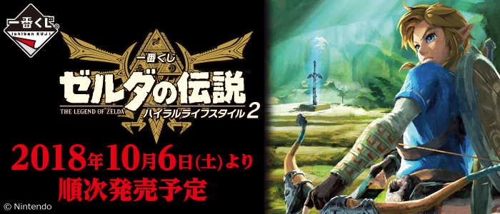 The Legend of Zelda Hyrule Lifestyle 2