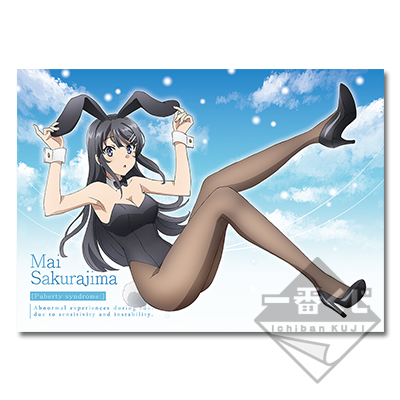 Sakurajima Mai Original Illustrations Visuelles Tuch