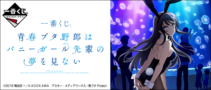 Seishun Buta Yaro wa Bunny Girl Senpai no Yume wo Minai