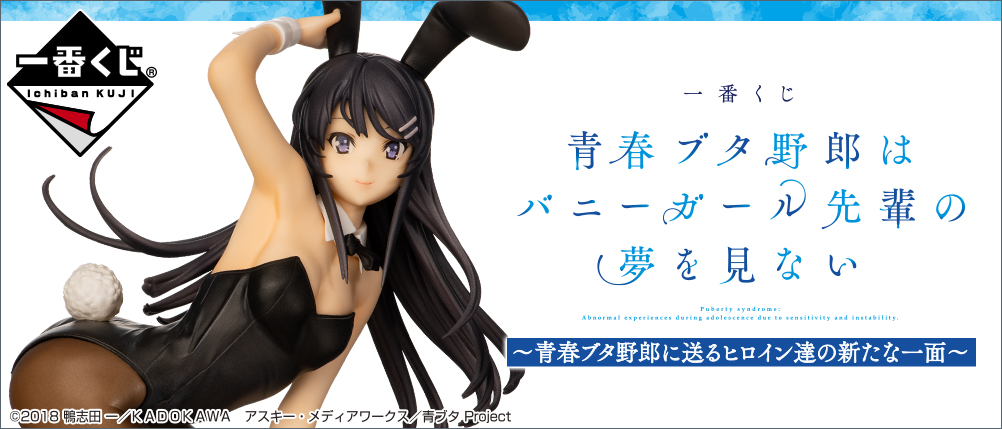 Rascal Does Not Dream of Bunny Girl Senpai ~New Sides of Heroines Sent to Rascal~