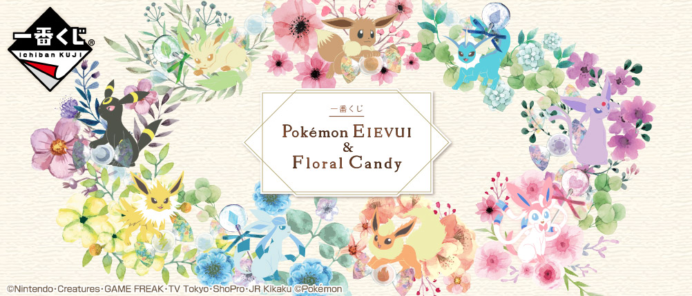 Pokémon Eievui & Floral Candy