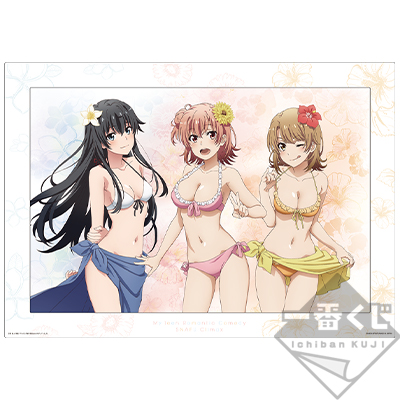 My Teen Romantic Comedy SNAFU Acrylplatte mit Rahmen